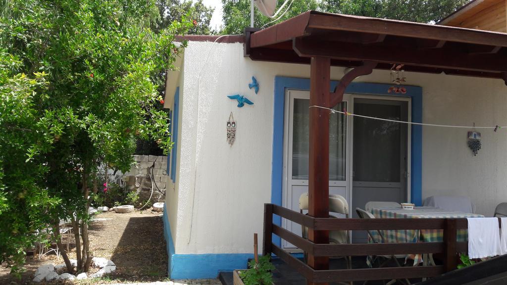 Paradise Garden Gumusluk Evleri Gümüşlük Exterior photo