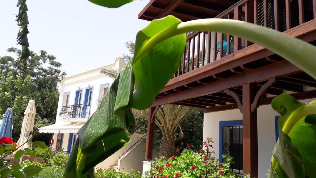 Paradise Garden Gumusluk Evleri Gümüşlük Exterior photo
